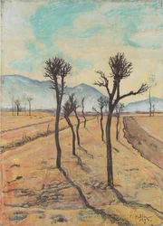 Bare Trees in Ticino